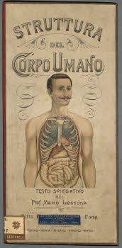 Vol.+Z+297,+copertina